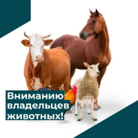 ИНФОРМАЦИЯ