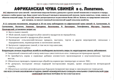 Внимание АЧС на территории сельского поселения. Памятка.