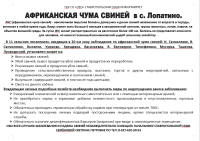 Внимание АЧС на территории сельского поселения. Памятка.