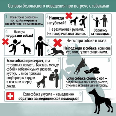 ИНФОРМАЦИЯ