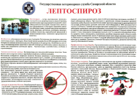СББЖ информирует