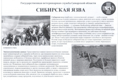 Внимание! Сибирская язва!