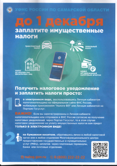 Имущественный налог необходимо заплатить до 1 декабря!